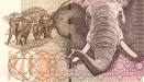 ZAR Gains on Rising National Reserves