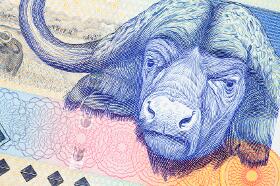 Higher Commodity Prices Lead to Stronger Rand