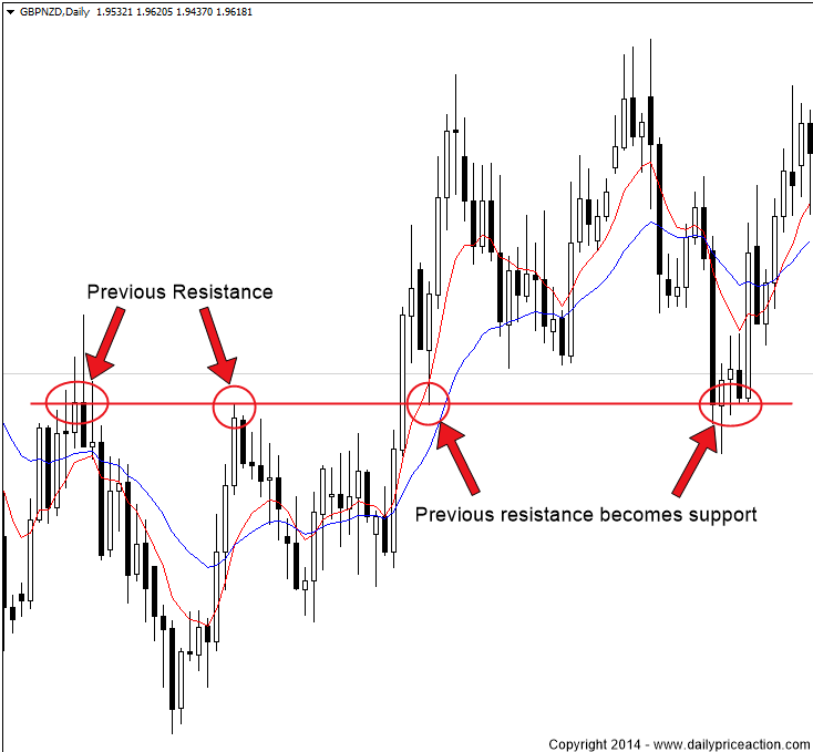 Using Price Action to Trade Forex