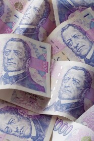 Czech Koruna Falls as Experts Scale Back Rate Hike Expectations