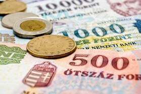 Hungarian Forint Drops After Central Banks Stays Put