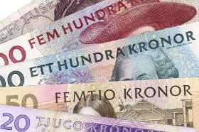 Swedish Krona Rises for First Day in Five After Economic Data
